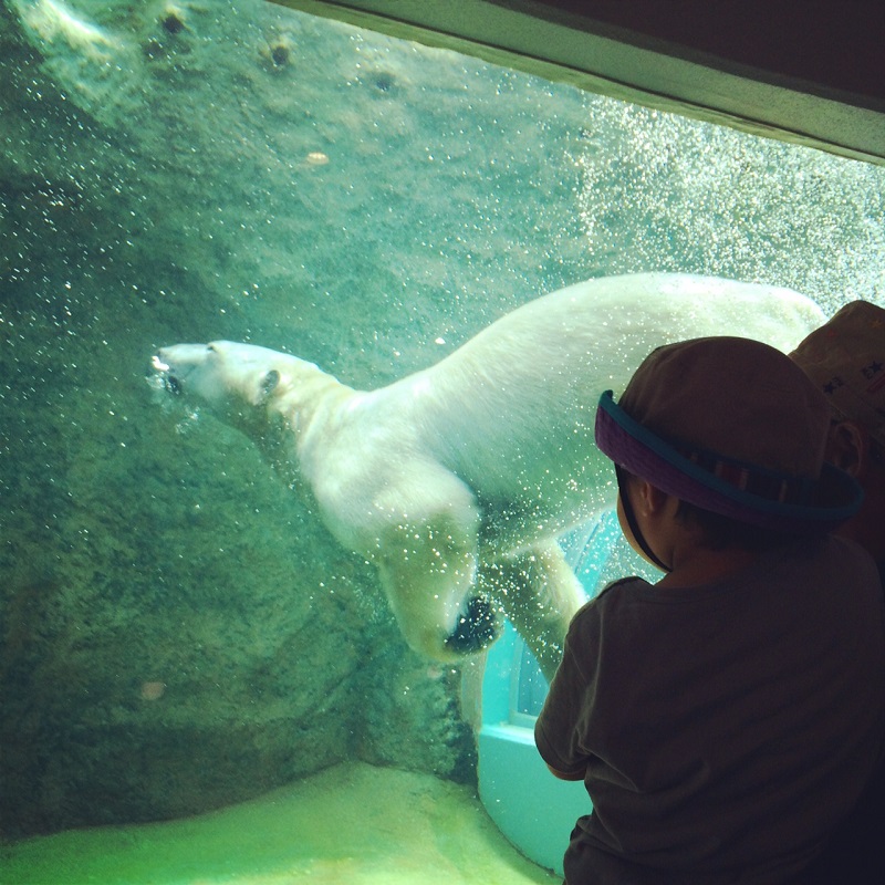 のんびりと動物を眺められる 日本平動物園 に行ってきました Cheers Mama チアーズ ママ チアママ