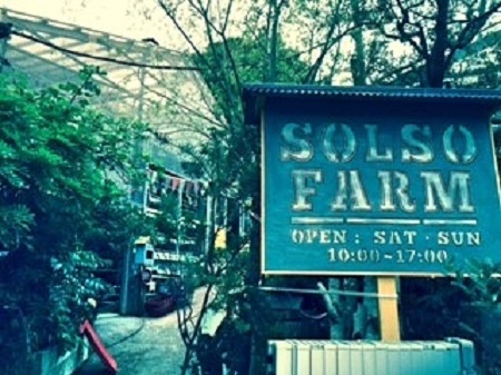 親子で大満喫 見どころいっぱいの植物ショップ Solso Farm 神奈川 川崎 Cheers Mama チアーズ ママ チアママ